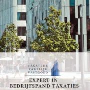 vastgoed-winkelpand-winkelcentra-taxatatie